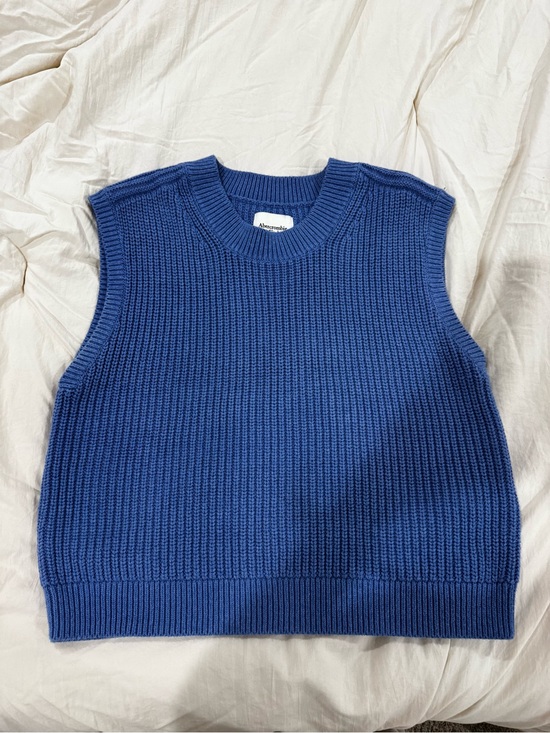 Abercrombie & Fitch Tops - Abercrombie & Fitch Royal Blue Ribbed Crewneck Sweater Vest
